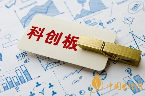 科創(chuàng)板龍頭股都有哪些  2020科創(chuàng)板龍頭股一覽