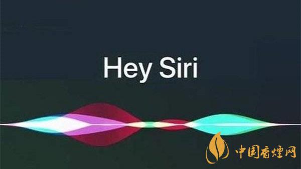 siri的最新隱藏功能 iOS14.3隱藏彩蛋