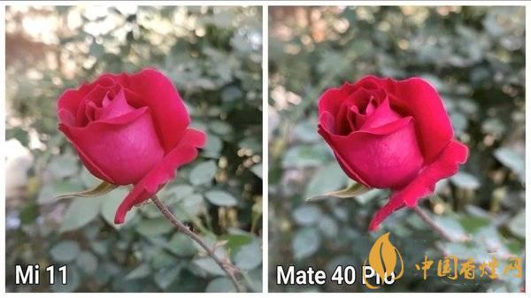 小米11和華為Mate40Pro哪個拍照好-拍照評測