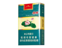 鉆石(軟荷花）圖片