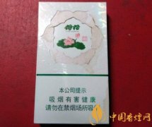 荷花香煙爆火的原因 荷花香煙口感怎么樣