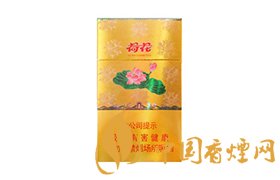 2020荷花牌香煙價(jià)格一覽表